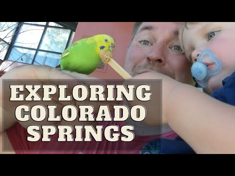 Things to do in Colorado Springs with a family- 7 Falls, Hellen Hunt Falls, Cheyanne Mountain Zoo