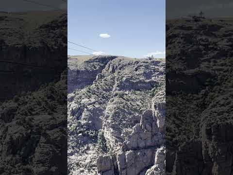 Zipline Royal Gorge, Colorado! #shorts
